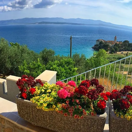 Eastern Paradise Apartament