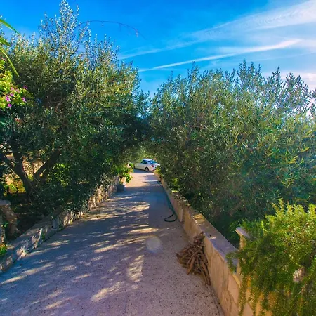 Eastern Paradise Bol